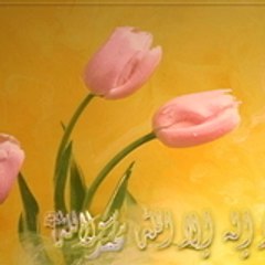 mohamed ali