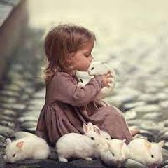 babies and animals