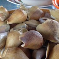 dm_d3366ec1e627c5a7e81e46309a041f52