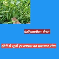 किसानो का अपना यूट्यूब चैनल yp