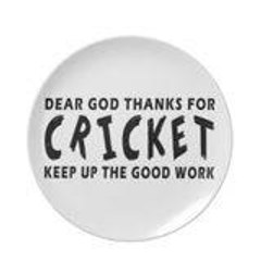 Cricket World