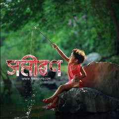 Tiktok Trending Videos