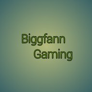 Biggfann Gaming
