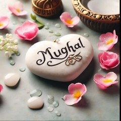 Shoaib-Mughal official