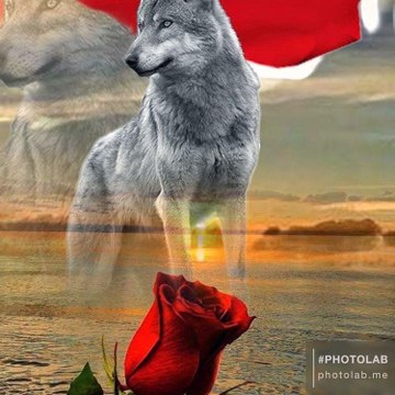 Kurtlar Vadisi Efsaneler