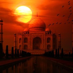 EXTRACTION ＦＵＬＬ✶ＭＯＶＩＥ~ＨＤ (2020)