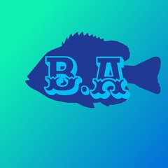 baibhav aquarium