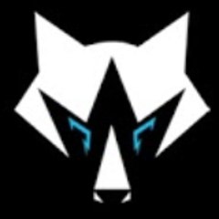 TECH WOLF