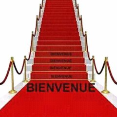 dm_1477b6c7f854cf2ee83566af9da293b3