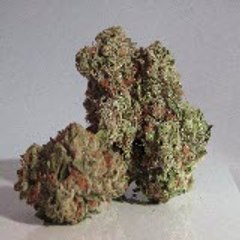 Bud Bud & Beyond