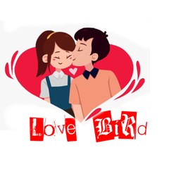 Love Bird