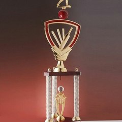 cricketworld