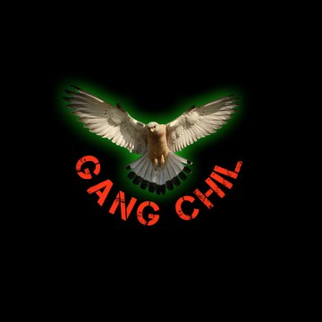Gangchil