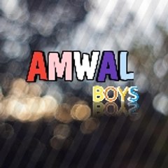 Amwal Boys