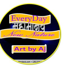 Everyday New Nature