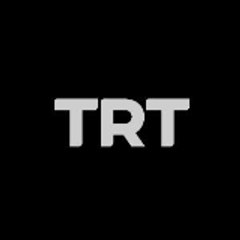TRT English