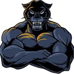 Black Panther Gaming