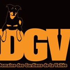 juliendgv