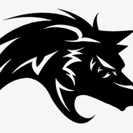 pakistani media on India reaction