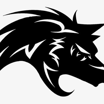 pakistani media on India reaction