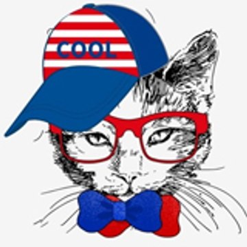 Mr. Cat