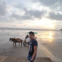Manjal Tanna