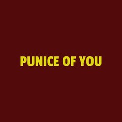 Punice of you