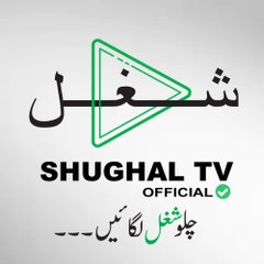 Shughal TV Official