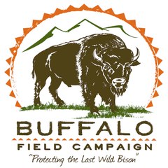 Buffalo Field Campaign