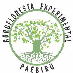 Agrofloresta Experimental Paêbirú