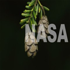 NASA WEB