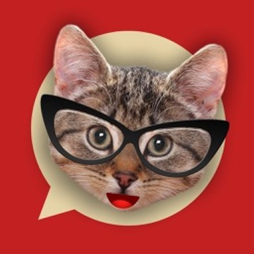 All_You_Need_is_Cat
