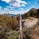 Desert Trails