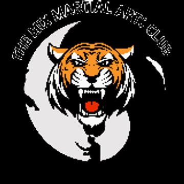 The Mix Martial arts Club