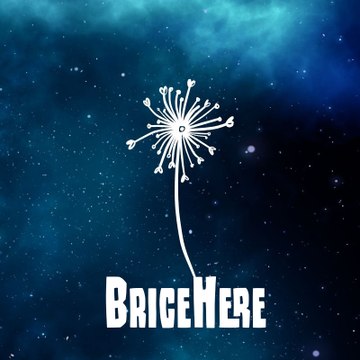 BriceHere