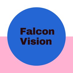Falcon Vision