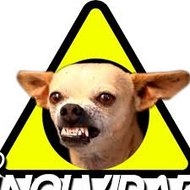 Las Inolvidables Guate