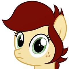 ponyeventsfederation