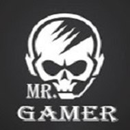 Mr. Gamer