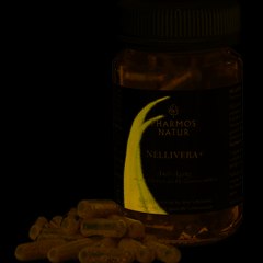 INVERA NATUR UNIVERSITY