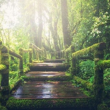 Beauty of nature