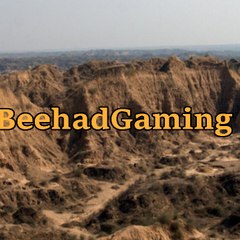 BEEHADGAMING