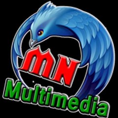 mn multimedia