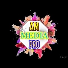 AM MEDIA PRO