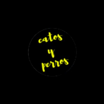 Gatos y perros