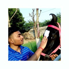 Daksh Oberoy