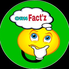 ORN Factz