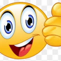 funny videos
