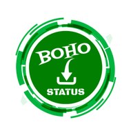boho status