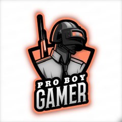 Pro Boy Gamer ak